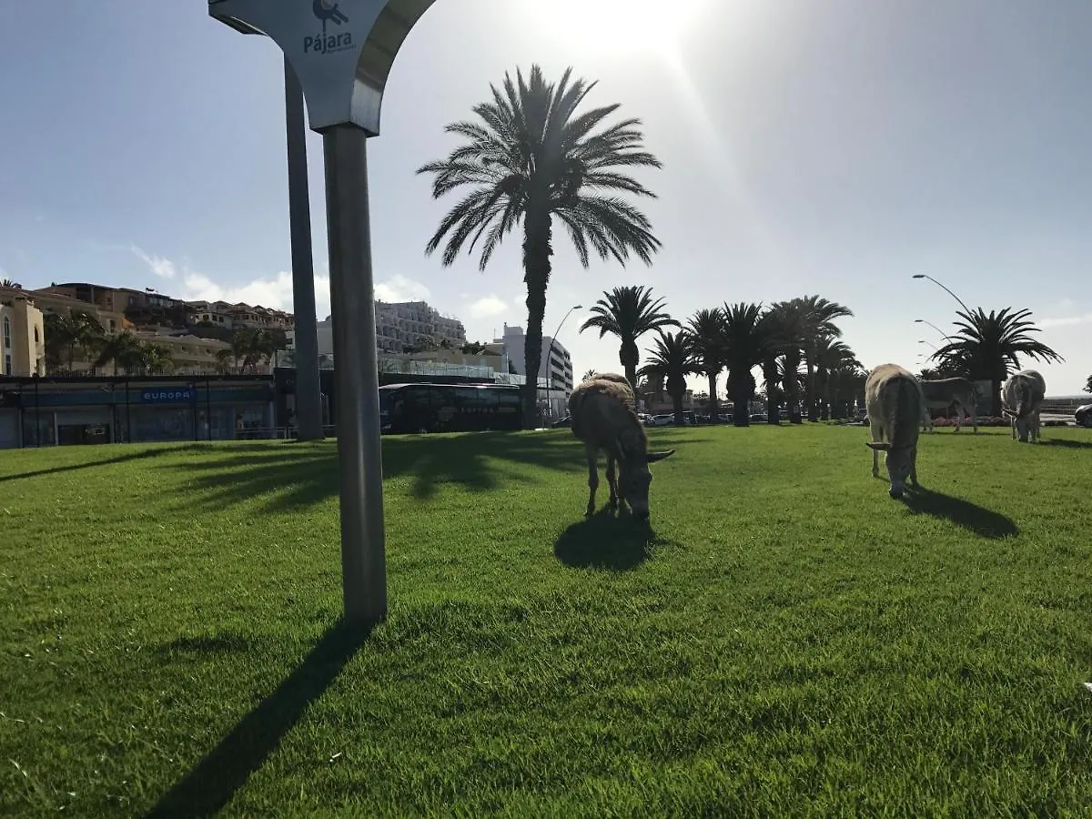 Holamigos Morro Jable Apartment Morro Jable (Fuerteventura)
