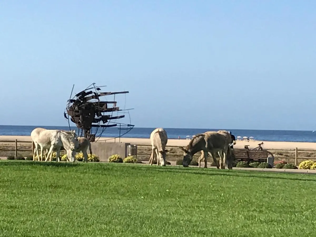 Apartmán Holamigos Morro Jable 0*, Morro Jable (Fuerteventura) Španělsko
